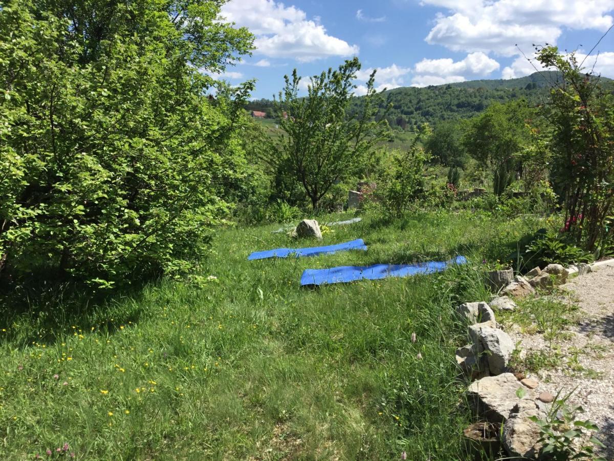 Kokin Brod Apartments Buitenkant foto